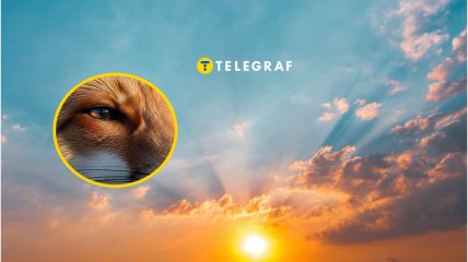 Під сонцем на Одещині грілася хижачка