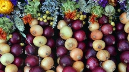РФ частично сняла запрет на ввоз овощей из Турции