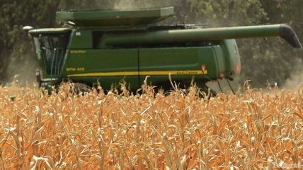 За 5 лет Украина станет крупным игроком на зерновом рынке - Азаров