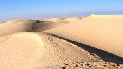Почему Сахара превратилась в пустыню?