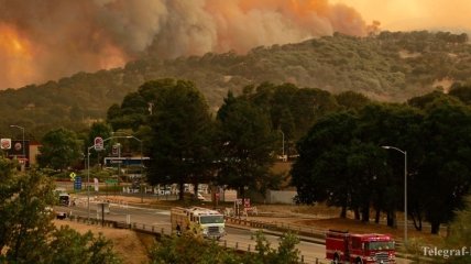 Ущерб от пожаров в Калифорнии оценивается в $100 млн 