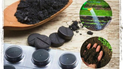 Користь активованого вугілля для рослин