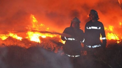 На Черниговщине пять часов не могут потушить пожар в лесу