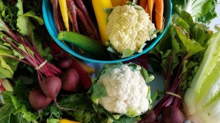 Богата витаминами и минералами: полезные свойства цветной капусты
