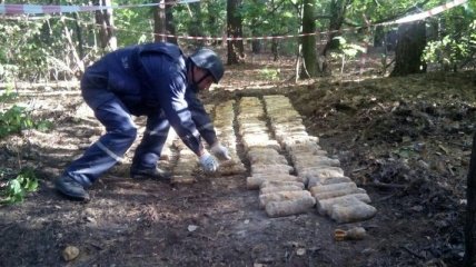 В лесополосе Киева обнаружили более тысячи боеприпасов