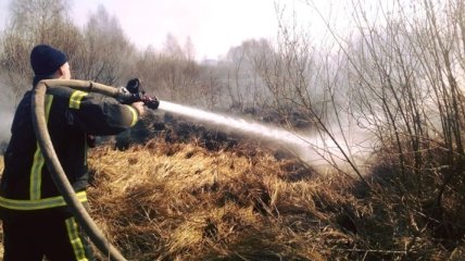 На Житомирщине горела сухая трава: пламя уничтожило четыре здания 
