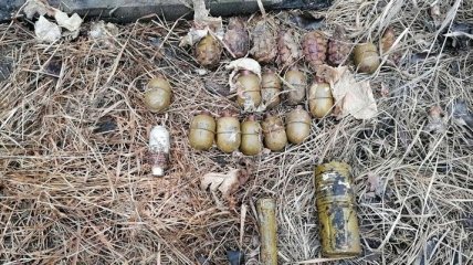 Собирал дрова, нашел гранаты: в Донецкой области мужчина обнаружил сумку с боеприпасами