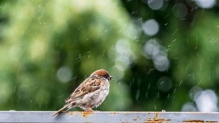 У перший день весни синоптики прогнозують від 9° морозу до 11° тепла