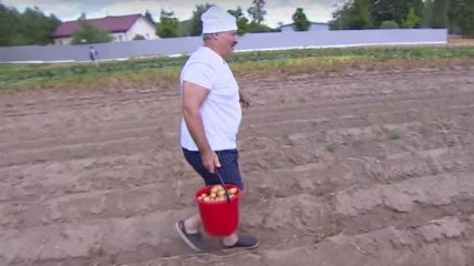 Как Лукашенко картофель собирал (Видео)