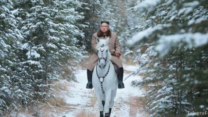 Около 600 тыс долларов: В Северной Корее подсчитали, сколько они потратили на лошадей