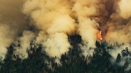 Определен уровень ущерба от пожаров в Канаде