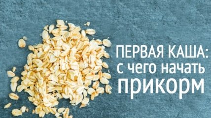 Прикорм кашей в 6 месяцев: с чего начать и чем продолжить