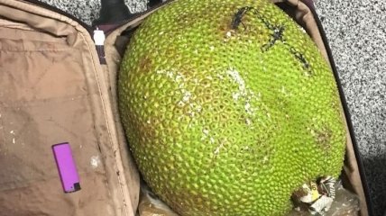 В аэропорту "Борисполь" ГПСУ задержала контрабандиста экзотических фруктов