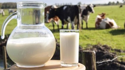 Ученые рассказали об опасности употребления парного молока