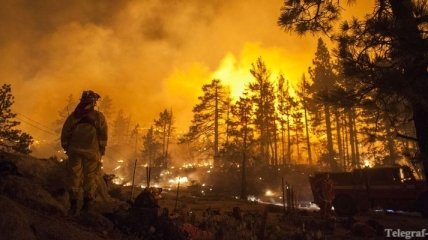 Ущерб от лесного пожара в Калифорнии составил более $20 млрд