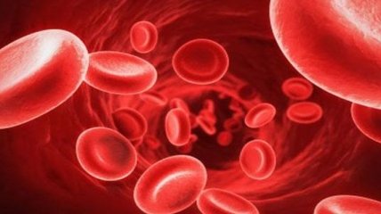 Медики рассказали, как быстро поднять уровень гемоглобина