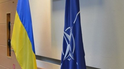 Необходимость членства Украины в НАТО могут закрепить на законодательном уровне