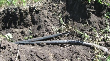 На Луганщине нашли нелегальный трубопровод для перекачки топлива