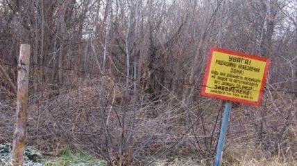 ЕС даст деньги для улучшения ситуации на Приднепровском химзаводе