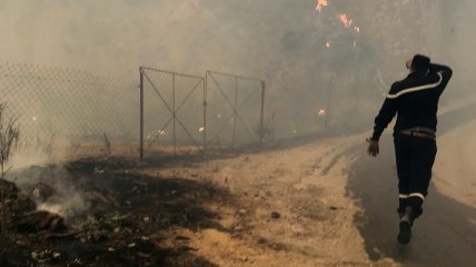 Лесные пожары в Алжире унесли жизнь 42 человек (фото, видео)