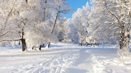Погода в Украине 9 января: ожидается снег, местами сильный