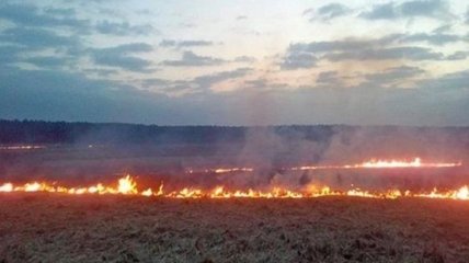 В Украине объявлен высокий уровень пожарной опасности