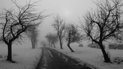 Погода в Украине на 22 декабря: местами дождь с мокрым снегом, туман