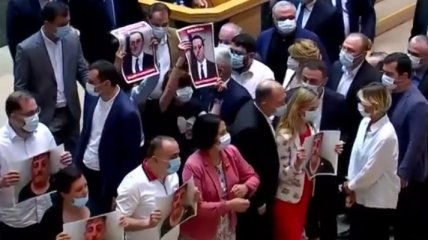 В парламенте Грузии сорвали выступление главы МВД (видео)