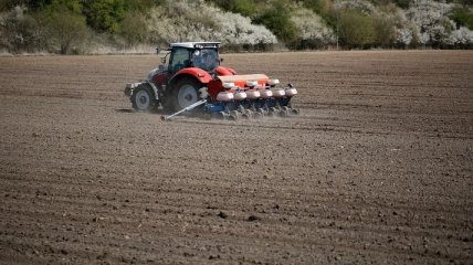 На Сумщині ярі культури посіяли на 96% запланованих площ