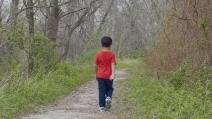 Шестирічна дитина загубилася під час підйому на Говерлу: пошуки не дають результатів