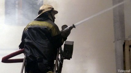 Пожарным не удалось спасти хозяина дома