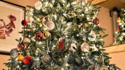 За сколько можно будет купить новогоднюю елку в этом году: озвучены цены