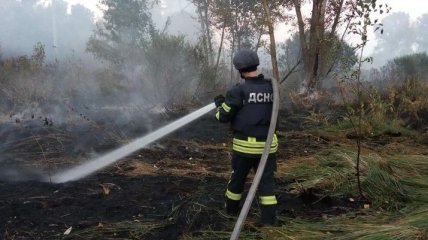 Масштабные пожары на Луганщине: военный эксперт назвал главную угрозу для региона