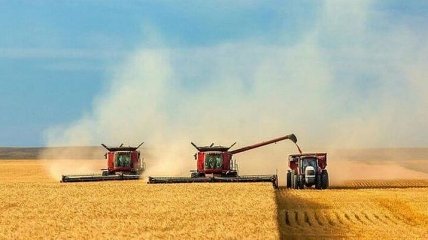 Украина уже экспортировала более 42 миллионов тонн зерна