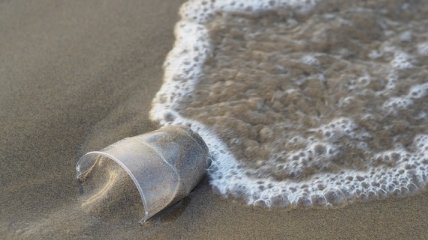 Экоактивисты: К 2050 году в океане будет больше пластика, чем рыбы