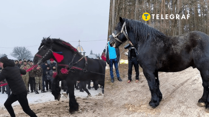 Фестивал на прикарпатті викликав обурення в соцмережах