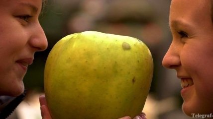 Яблоки работают не хуже лекарств, призванных понизить холестерин