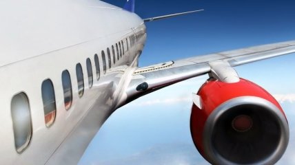 Российский "Аэрофлот" уволил стюардессу из-за фотографии