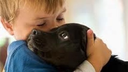 Собака в доме снижает проявления аллергии