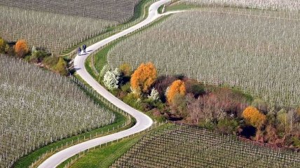 Словения с высоты: потрясающие снимки, сделанные с воздуха (Фото)