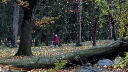 В Чехии из-за сильного ветра без света остались 140 тысяч домов