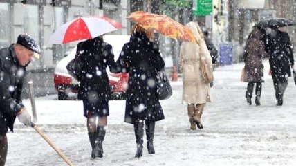 Сегодня в Украине - первый снег 