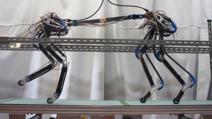 Первые шаги четвероногого робота Pneupard (видео)