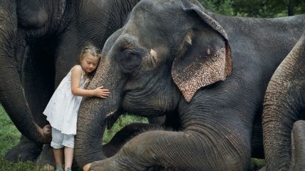 Амели и животные: мама-фотограф снимает дочку с жирафами и слонами