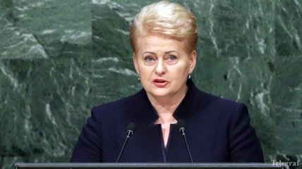 Грибаускайте: Действия РФ в Украине нарушили саму суть международного права