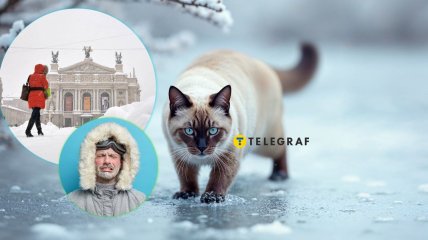 Мороз во Львове