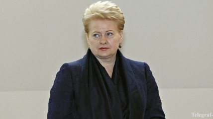 Президент Литвы: Украина пошла на перемирие по просьбе Запада