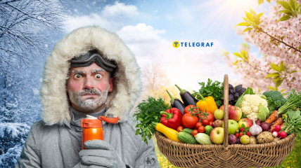 Чего ждать аграриям в этом сезоне