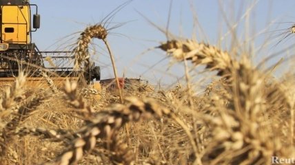Украина собрала 32,7 млн тонн зерна