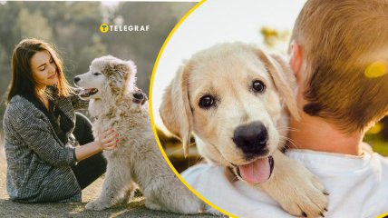 Узнайте о себе чуть больше
